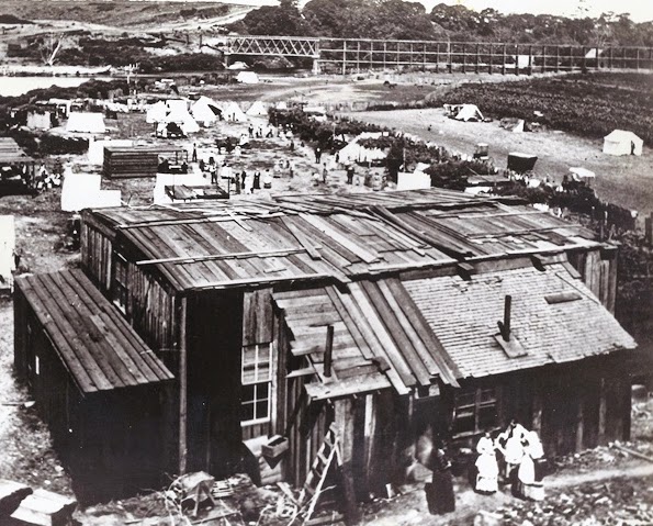 1875-Camp Capitola and sugar beets.jpg